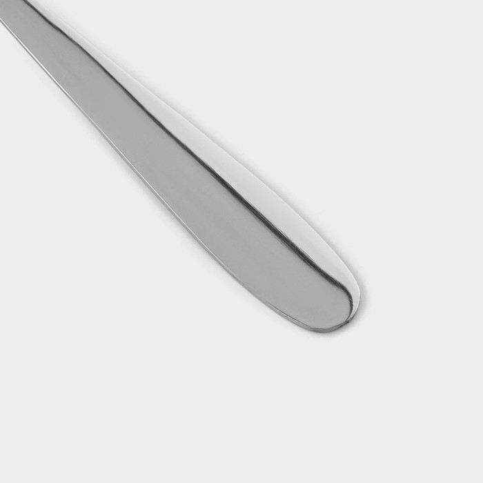 Набор вилок столовых из нержавеющей стали Доляна &laquo;Симпли&raquo;, 20,7 см, 6 шт