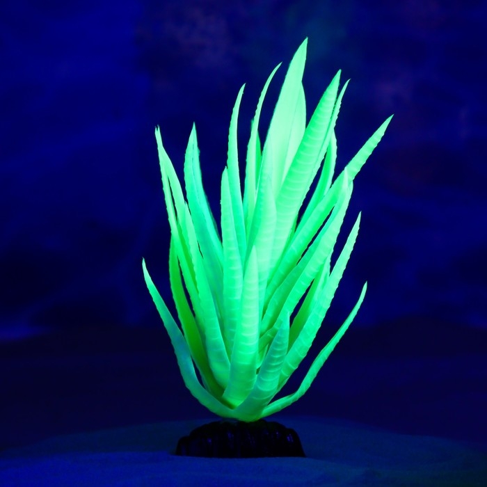 Растение искусственное аквариумное, светящееся, 20 см, зелёное Растение искусственное аквариумное, светящееся, 20 см, зелёное