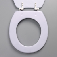 Сиденье для унитаза с крышкой Доляна &laquo;Ромашки&raquo;, 42&times;36,5 см