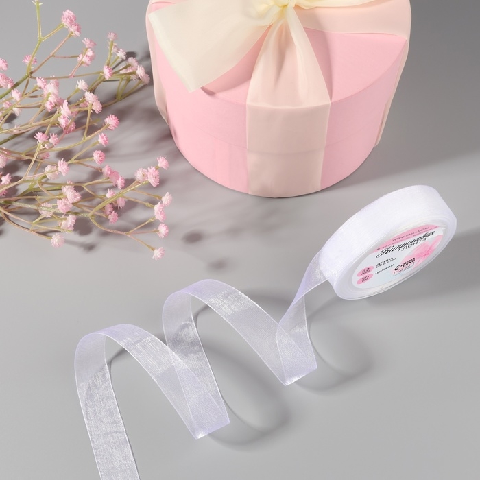 Лента капроновая, 20 мм, 20 &plusmn; 1 м, цвет белый №1