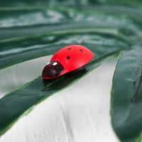 Набор магнитов &laquo;Божья коровка&raquo;, 50 шт., красный