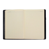 Ежедневник полудатированный А5, 208 листов Profy, рециклированная кожа, сменный блок, золотой срез, чёрный