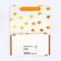 Пакет ламинированный &laquo;Звезды&raquo;, MS 18 &times; 23 &times; 10 см