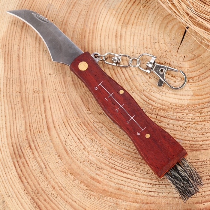 Нож Нож "Грибник", с кисточкой 16,5см 6244638