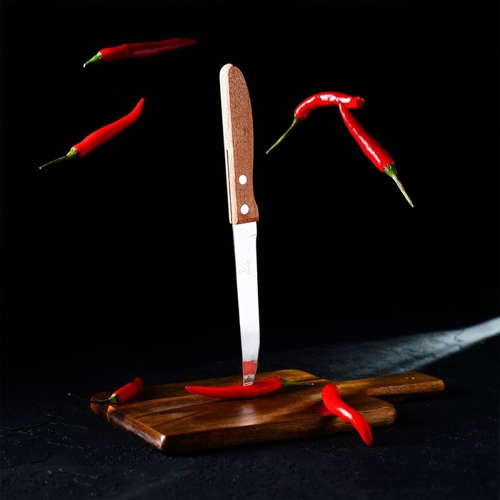 Нож кухонный Доляна &laquo;Эльбрус&raquo;, лезвие 11,5 см