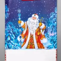 Пакет подарочный новогодний ламинированный, &laquo;Дед Мороз&raquo; , 33&times;10&times;42.5 см
