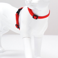 Комплект для кошек, ширина 1 см, ОШ 16,5-27 см, ОГ 21-35 см, поводок 120 см, красный