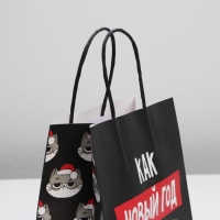 Пакет подарочный новогодний &laquo;Так тебе и надо&raquo;, 22 х 22 х 11 см