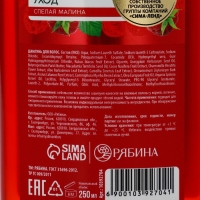 Шампунь для волос, питающий уход, аромат малины, 250 мл, Рябина Шампунь для волос, питающий уход, аромат малины, 250 мл, Рябина