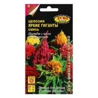 Семена цветов Целлозия "Яркие гиганты", смесь, 0,2 г