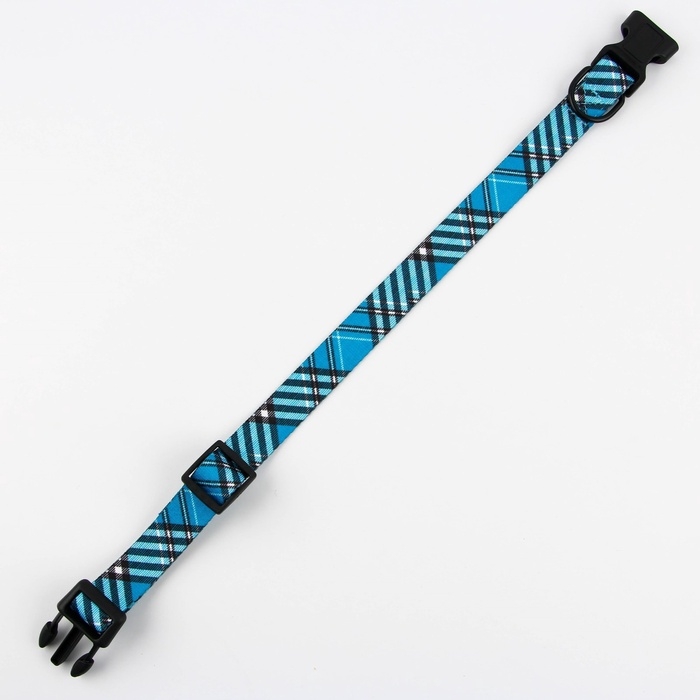 Ошейник «Джентльмен», застёжка - фастекс, 2.5 см, 40-55 см Ошейник «Джентльмен», застёжка - фастекс, 2.5 см, 40-55 см