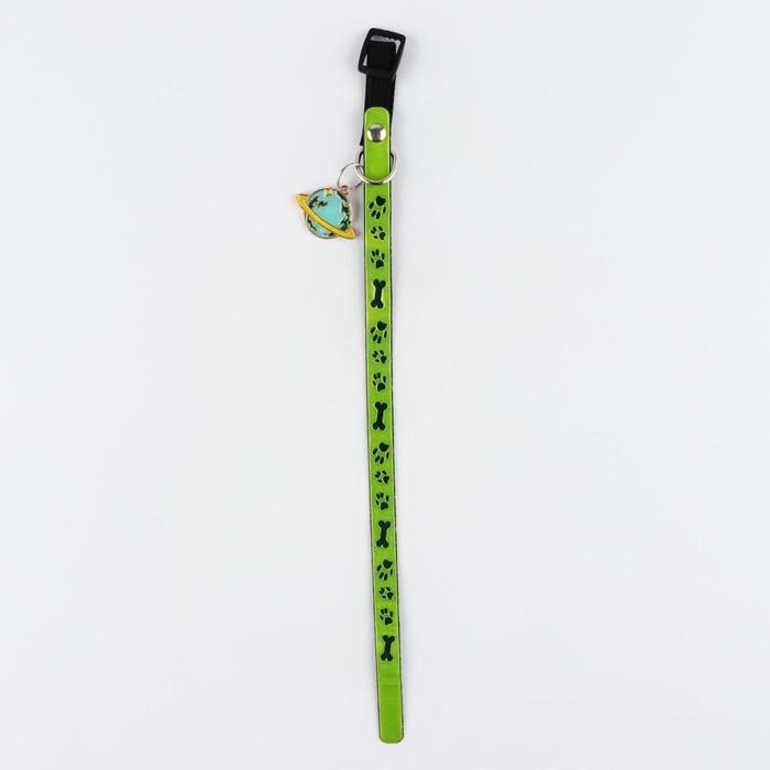 Ошейник светоотражающий &laquo;Лапки&raquo; с подвесом, 30 х 1 см, цвет зелёный