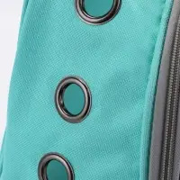 Рюкзак для переноски животных прозрачный, 31 х 28 х 42 см, бирюзовый