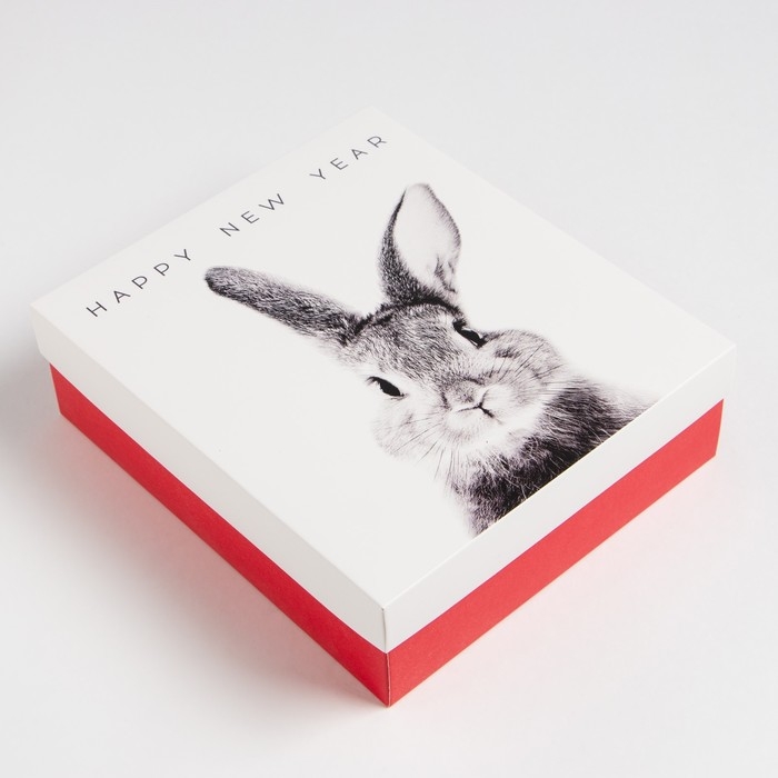 Новогодний подарочный набор "Зайка", варежки р-р 19 и аксессуары