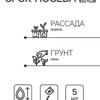 Семена цветов Ковыль "Фейерверк", 5 шт.