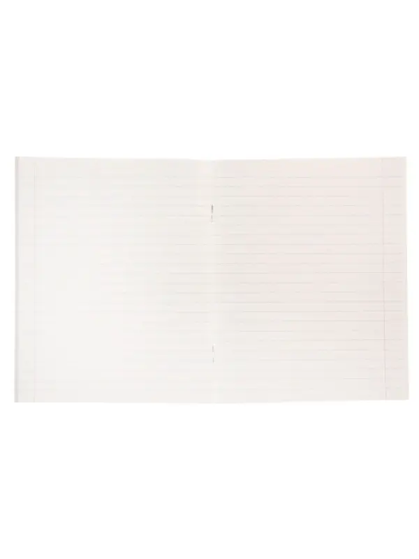 Тетрадь 48 листов в линейку Calligrata &laquo;Дикие кошки&raquo;, обложка мелованная бумага, блок №2, МИКС