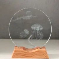 Сувенир стекло свет "Диск. Медузы" 5хLED d=10 см, USB 10х4х11,4 см