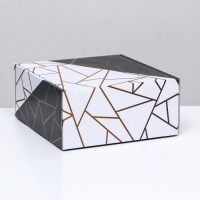 Коробка самосборная, без окна «Галограмма» 19 х 19 х 9 см Коробка самосборная, без окна «Галограмма» 19 х 19 х 9 см