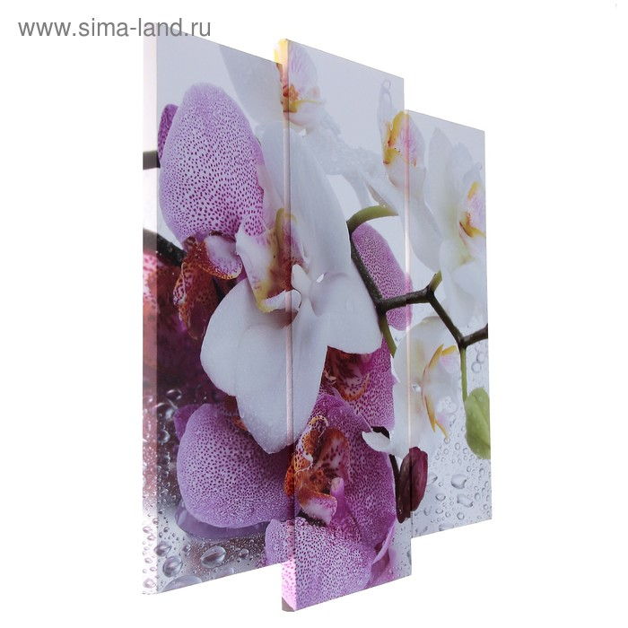 Модульная картина "Краповая орхидея"  (2-25х52; 1-30х60) 60х80 см
