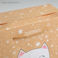 Пакет&mdash;коробка &laquo;Сюрприз!&raquo;, 23 х18 х11 см