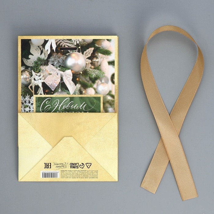 Пакет подарочный новогодний с лентой &laquo;Зима&raquo;, 13 х 19 х 9 см