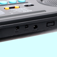 Синтезатор детский &laquo;Маленький музыкант&raquo;, 37 клавиш, с микрофоном