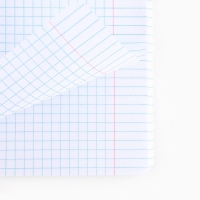 Тетрадь в клетку, 48 листов А5 на скрепке , внутренний блок №1 МИКС &laquo;1 сентября: Истинная любовь&raquo; ВД лак