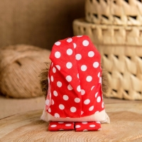 Оберег &laquo;Домовой&raquo;, со шкатулкой, микс