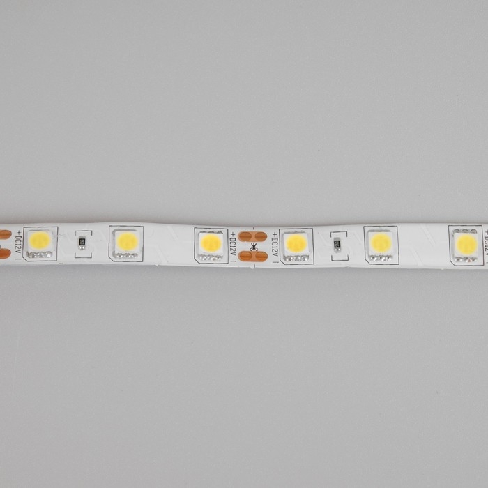 Cветодиодная лента Ecola PRO 5 м, IP65, SMD5050, 60 LED/м, 14.4 Вт/м, 12 В, 4200К