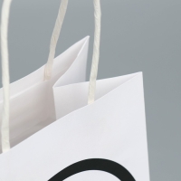 Пакет подарочный крафтовый, упаковка, &laquo;ДР&raquo;, 12 х 21 х 9 см