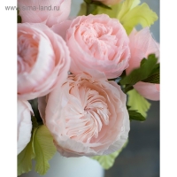 Бумага гофрированная, 948 "Бледно-розовая (камелия)", 50 см х 2,5 м Бумага гофрированная, 948 "Бледно-розовая (камелия)", 50 см х 2,5 м