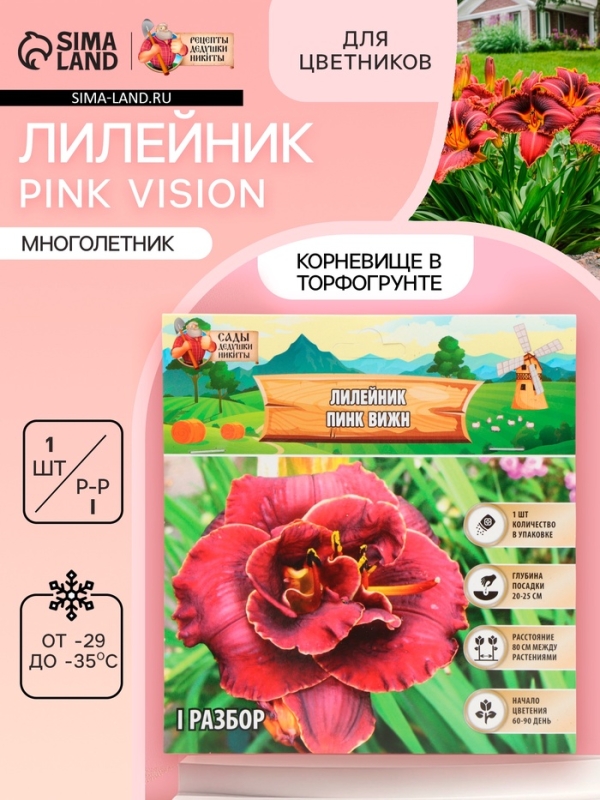Лилейник Pink Vision, многолетник, корневище в пакете с торфогрунтом, р-р I, 1 шт.