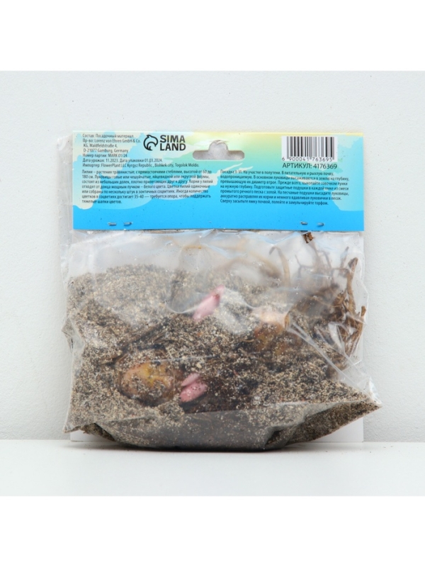 Лилия Восточная &laquo;Дабл Мэджик Стар&raquo;, луковица в пакете с перфорацией, р-р 12/14, 3 шт.