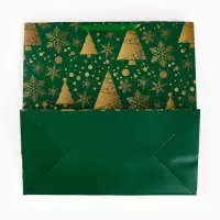 Подарочный пакет &laquo;Новогодний&raquo;, зелёный 40 &times; 40 &times; 40 см