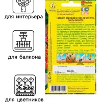 Семена  цветов Немезия "Звездный путь", смесь окрасок, О, 0,03 г