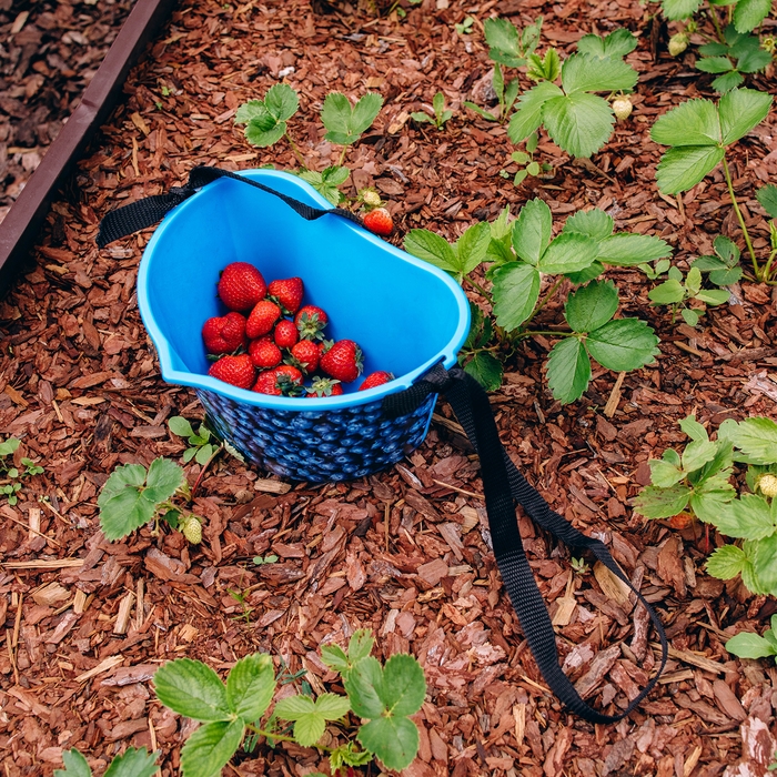 Ёмкость для сбора ягод, 3 л, &laquo;Черника&raquo;, голубая