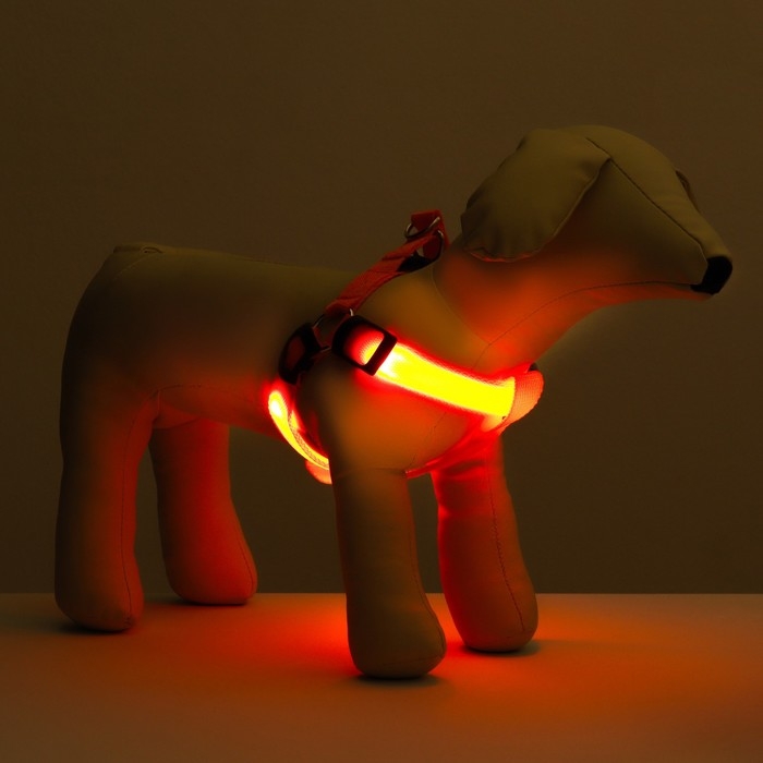 Шлейка светящаяся размер L, стропа 2,5 см, ОГ 43-60 см, 3 режима свечения оранжевая 97722