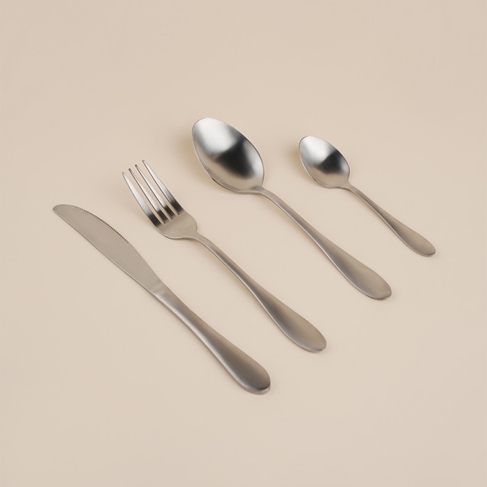 Набор столовых приборов из нержавеющей стали &laquo;Классик&raquo;, 24 предмета, в коробке, цвет серебряный