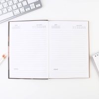 Подарочный набор &laquo;The BEST TEACHER&raquo;: ежедневник А5, 80 листов и 2 шт ручки (шариковые, 1 мм, синяя,красная паста)