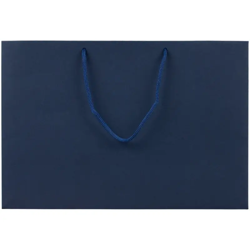 Пакет бумажный Ample Plus M, синий