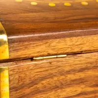 Шкатулка "Глу" 18х12,8х8 см, дерево шишам, латунь