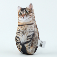 Игрушка-антистресс &laquo;Котик&raquo;