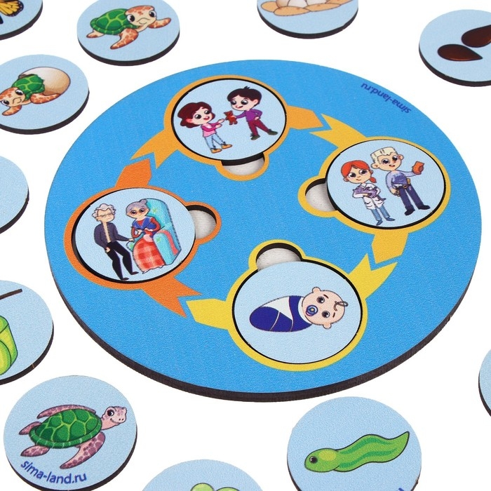 Развивающая игра из дерева &laquo;Цикл жизни&raquo;