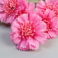 Цветы искусственные "Гвоздика каспар галант" 58х7 см, сиреневый