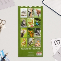 Календарь на ригеле "Малыши в природе" 2025 год, 16,5 х 34 см Календарь на ригеле "Малыши в природе" 2025 год, 16,5 х 34 см
