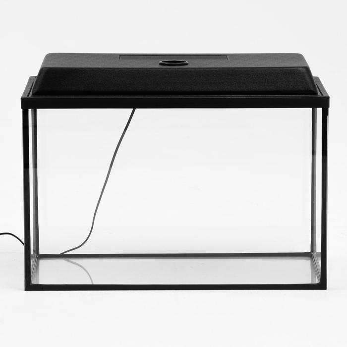 Аквариум Аквариум "Прямоугольный" с крышкой, 60 литров, 56 х 29 х 36 см, чёрный