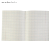 Тетрадь 48 листов в клетку "Зелёная", обложка бумвинил, блок №2 (серые листы)