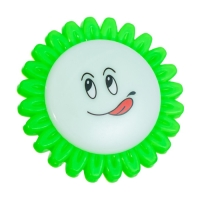 Ночник пластик от сети "Цветы на цветке" МИКС 7,5х7,5х2,7 см RISALUX Ночник пластик от сети "Цветы на цветке" МИКС 7,5х7,5х2,7 см RISALUX