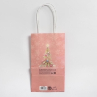 Пакет подарочный новогодний крафтовый &laquo;Новогодние сны&raquo;, 12 х 21 х 9 см, Новый год