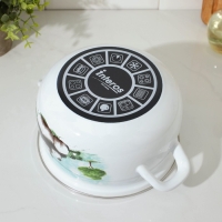 Кастрюля эмалированная &laquo;Панды&raquo;, 3,1 л, стеклянная крышка, индукция